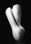 Immagine 34.jpg (11kb)